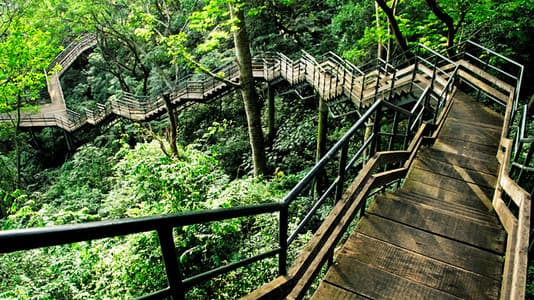 Ecotourism