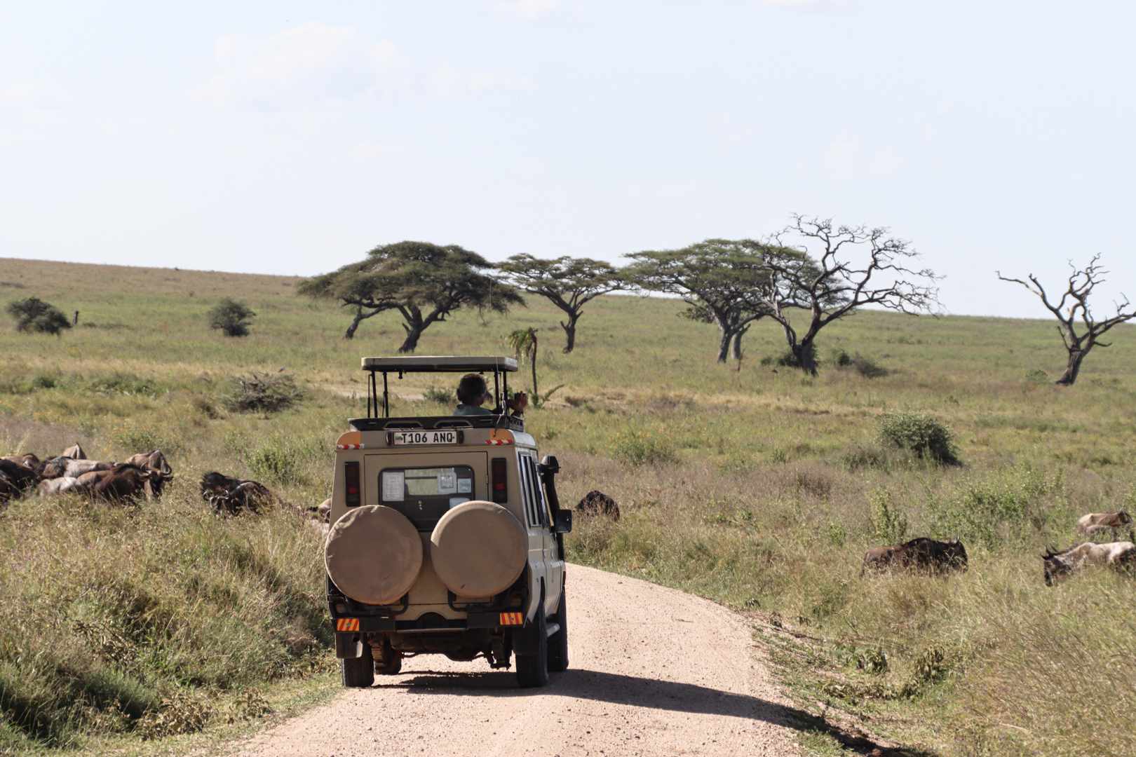 Serengeti National Park