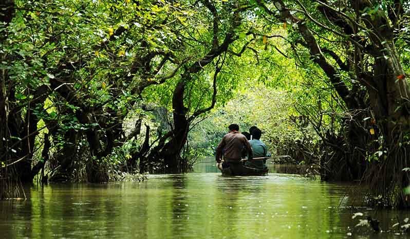 Ratargul Swamp Forest