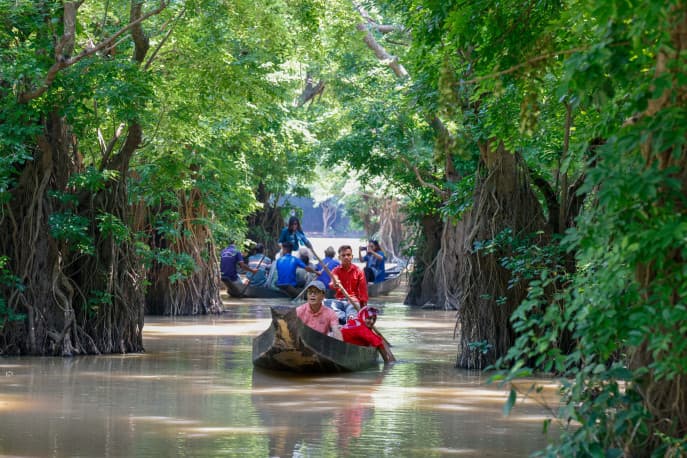 Ratargul Swamp Forest
