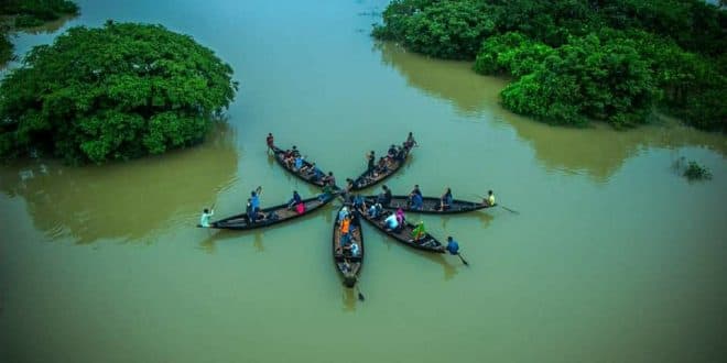 Ratargul Swamp Forest