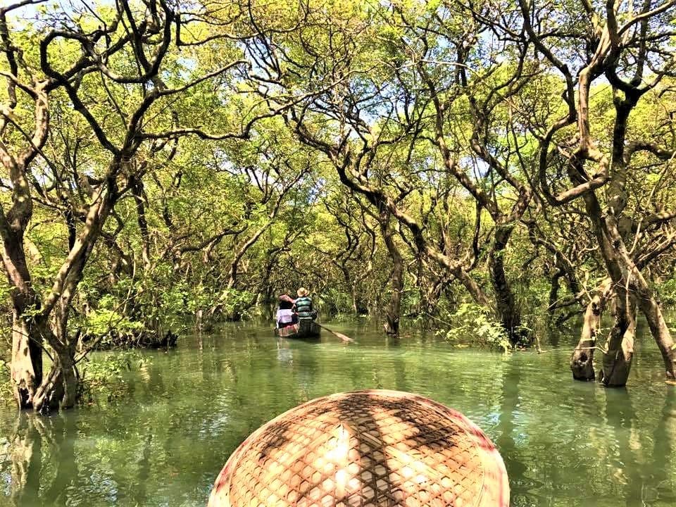 Ratargul Swamp Forest