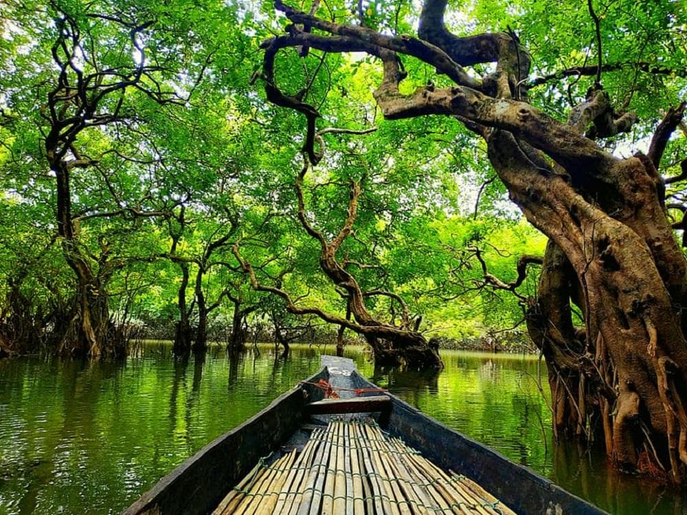 Ratargul Swamp Forest