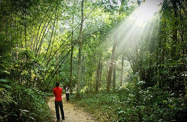 Lawachara National Park