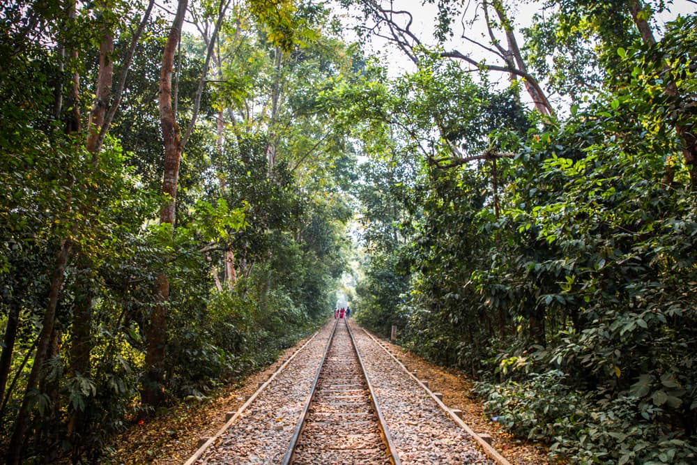 Lawachara National Park