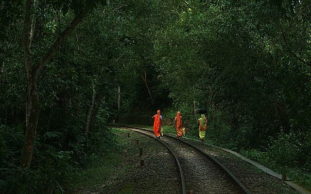 Lawachara National Park