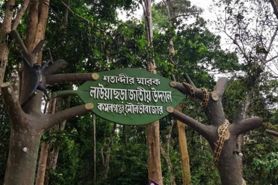 Lawachara National Park