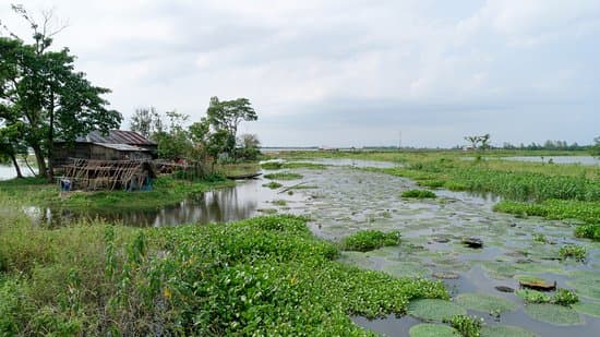Baikka Beel