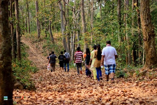 Rema-Kalenga Wildlife Sanctuary