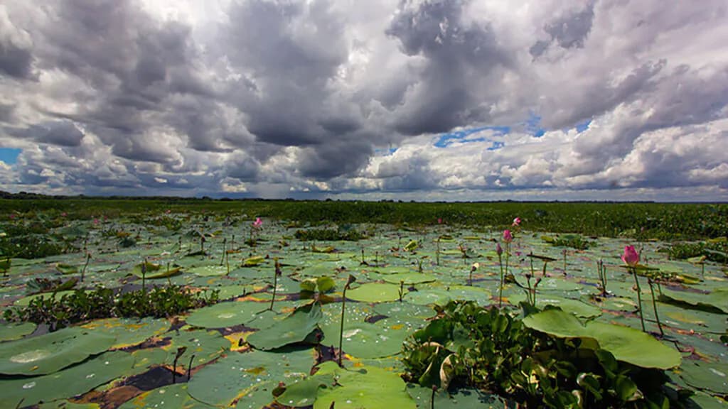 Madhabpur Lake